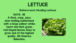 ema river north lettuce entertain you ema river north lettuce entertain you